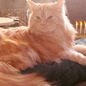 Meet your Posher, Maggie